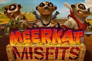 Meerkat Misfits