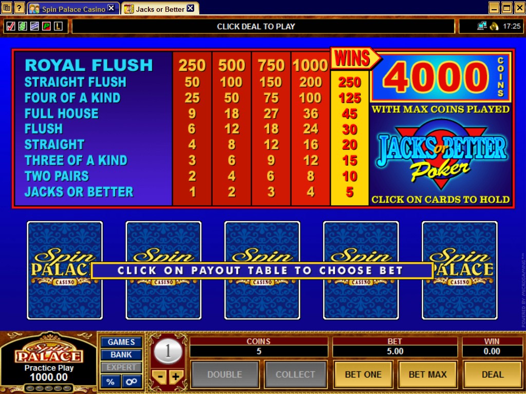 Spin Palace Flash Casino Games